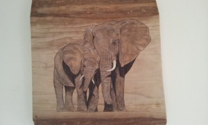 diny thumbnail_20170201_120349